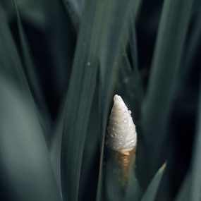 Foto kanva (80 x 50 cm) - Uz gaismu!