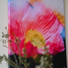 Foto kanva (30 x 40 cm) - Sapnis vasaras naktī - II